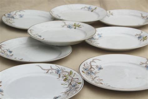 how much are china plates from 1800s worth